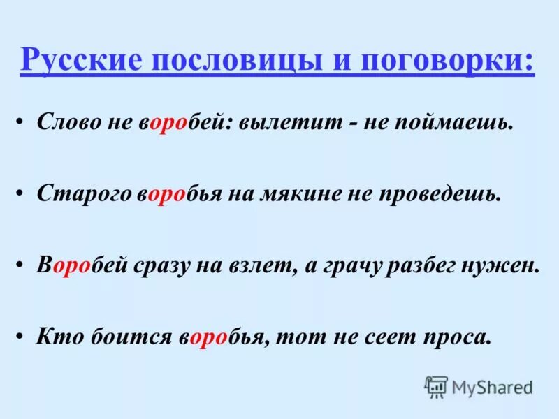 Пословица слова правда. Пословицы со словом Воробей.