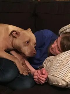 My sister like dogs