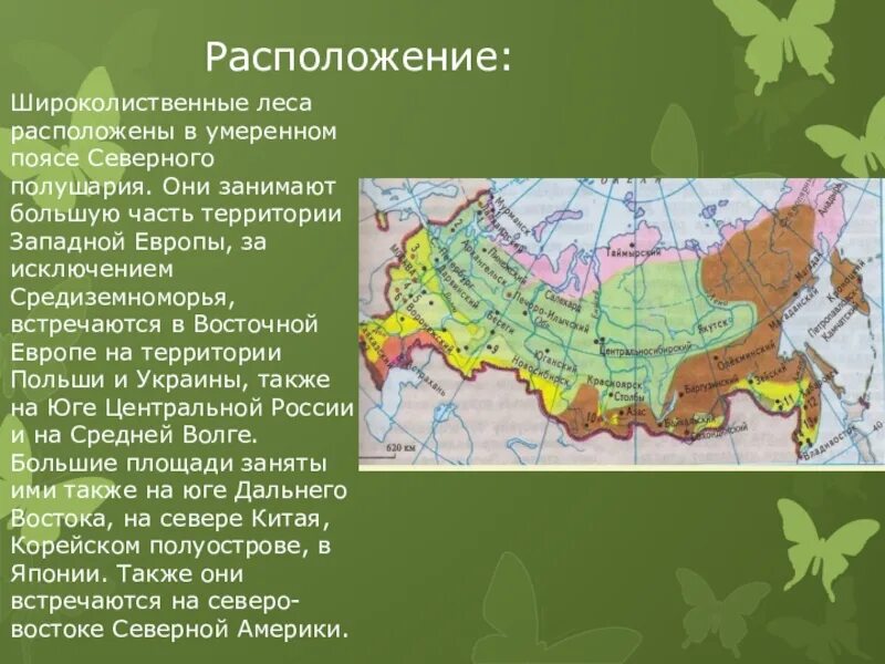Положение зоны широколиственных лесов. Расположение зоны широколиственных лесов. расположение зоны широколиственных лесов россии. широколиственные леса географическое расположение. географическое положение широколиственных лесов в россии.