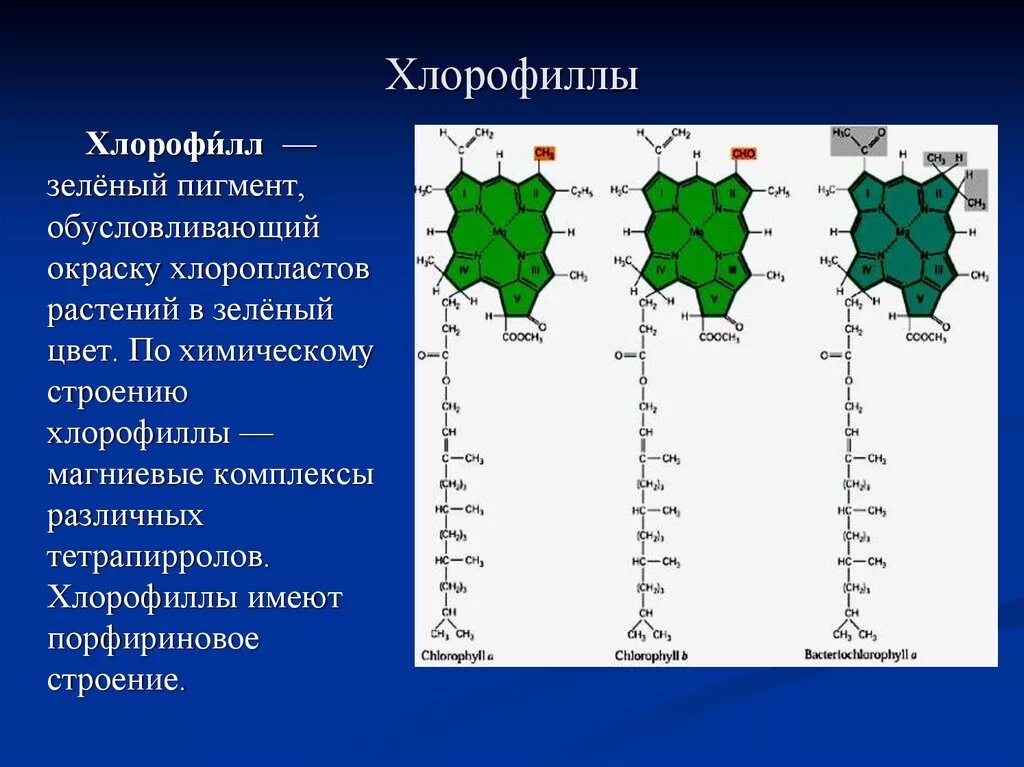 Какой растительный пигмент не образуется. Е140 хлорофилл. Хлорофилл формула у растений. Формула хлорофилла в биологии. Хлорофилл б хлорофилл а каротиноиды.