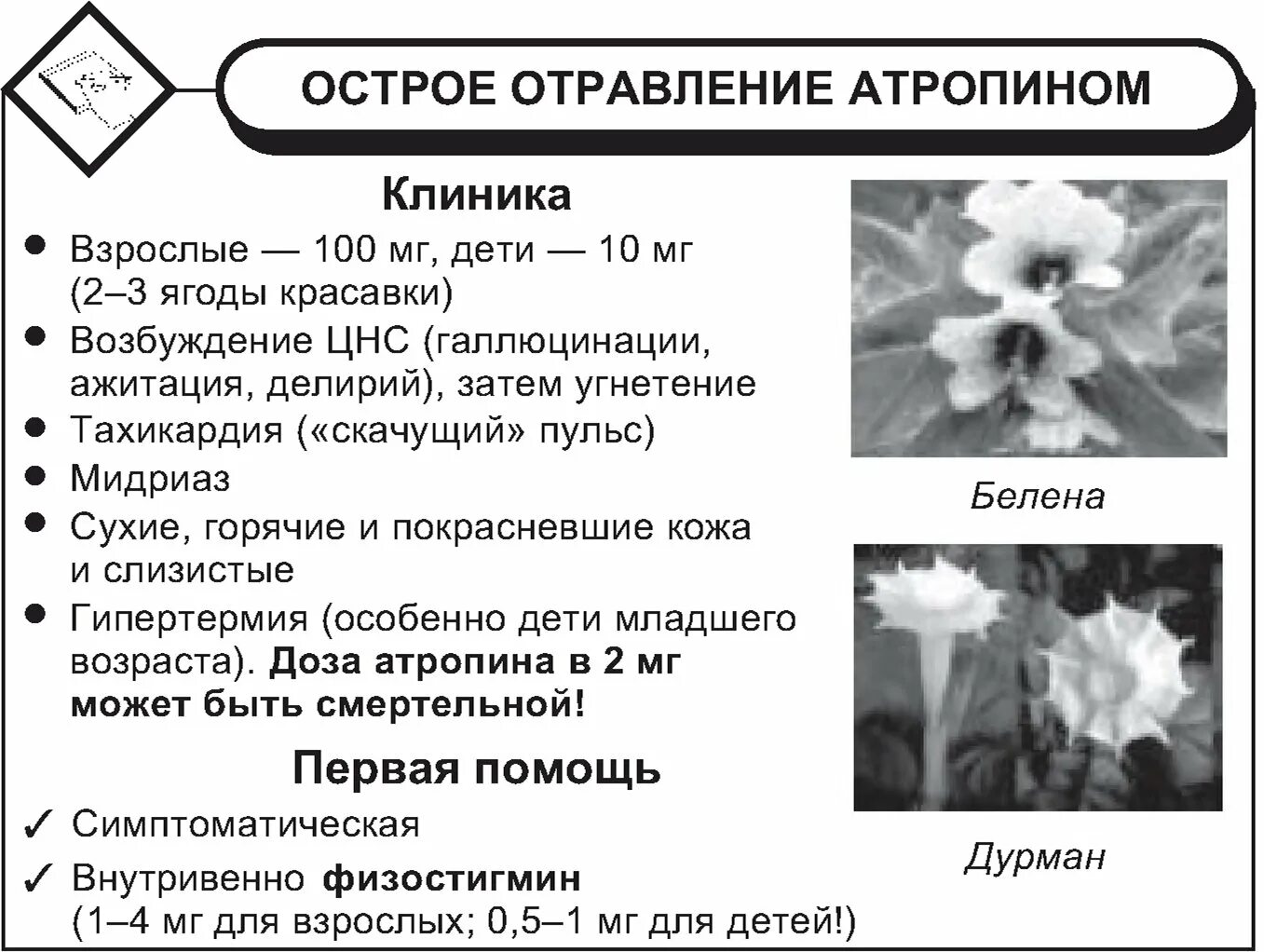 Атропин антидот при отравлении. Применяют при отравлении растениями, содержащими атропин. острое отравление растениями содержащими атропин. антидот при отравлении атропином. симптомы отравления атропином.