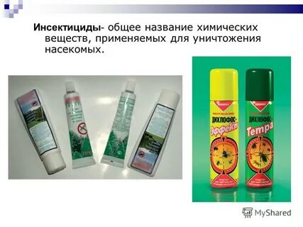 Какие инсектициды применяют в быту