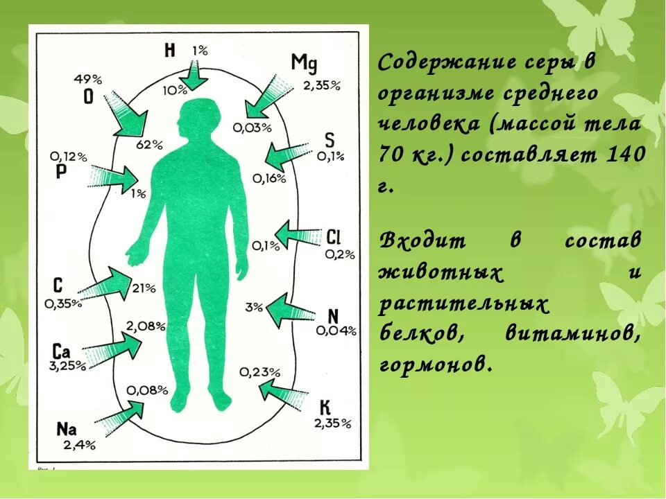 Сера в организме человека. Содержание серы в организме человека. Роль серы в организме человека. Сера в теле человека.