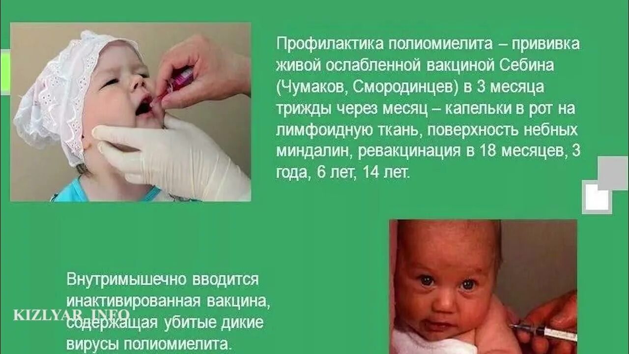 Полиомиелит прививки. Вакцинация детей от полиомиелита. Прививки полиомиелит от чего. Вакцинация против полиомиелита. 3 прививка от полиомиелита