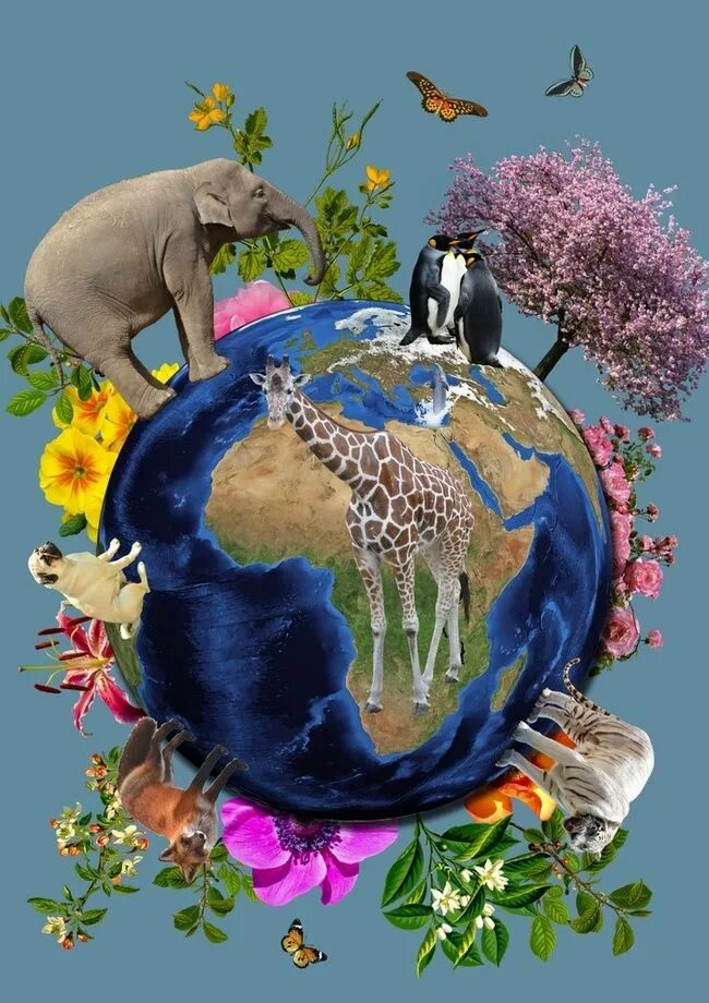 Животные земли. День земли коллаж. Биологическое разнообразие земли. Всемирный день земли.