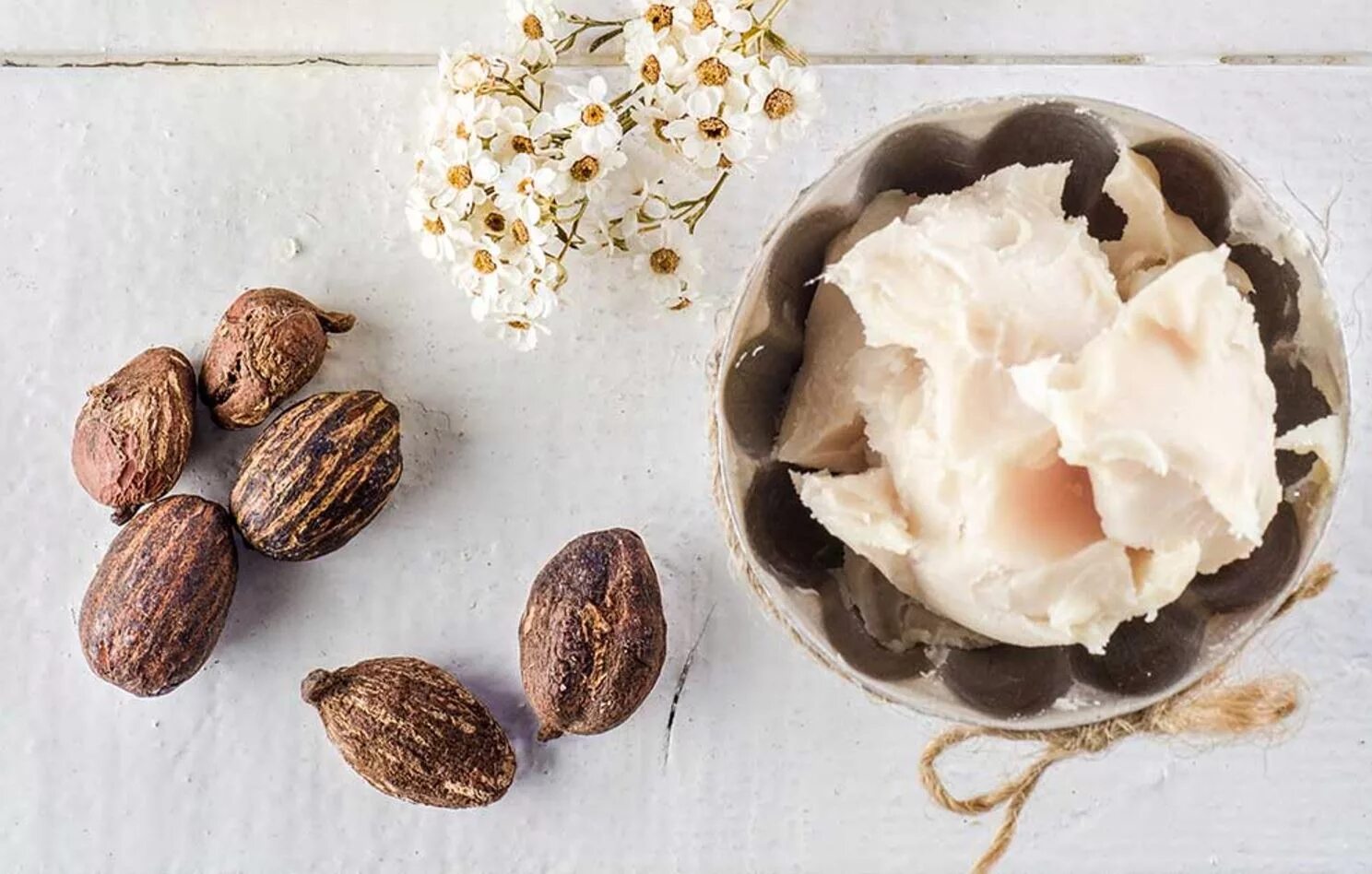 Баттер ши. Орехи ши. Масло ши каритэ. Масло ши дерево карите. Масло ши дерево карите.