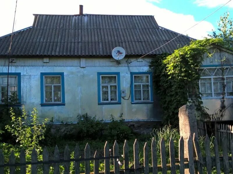Цветущие поля башкирии козлятника. Башкирское разнотравье. Ковыль луговой. Каменная степь воронежская область. Луговое курская область.