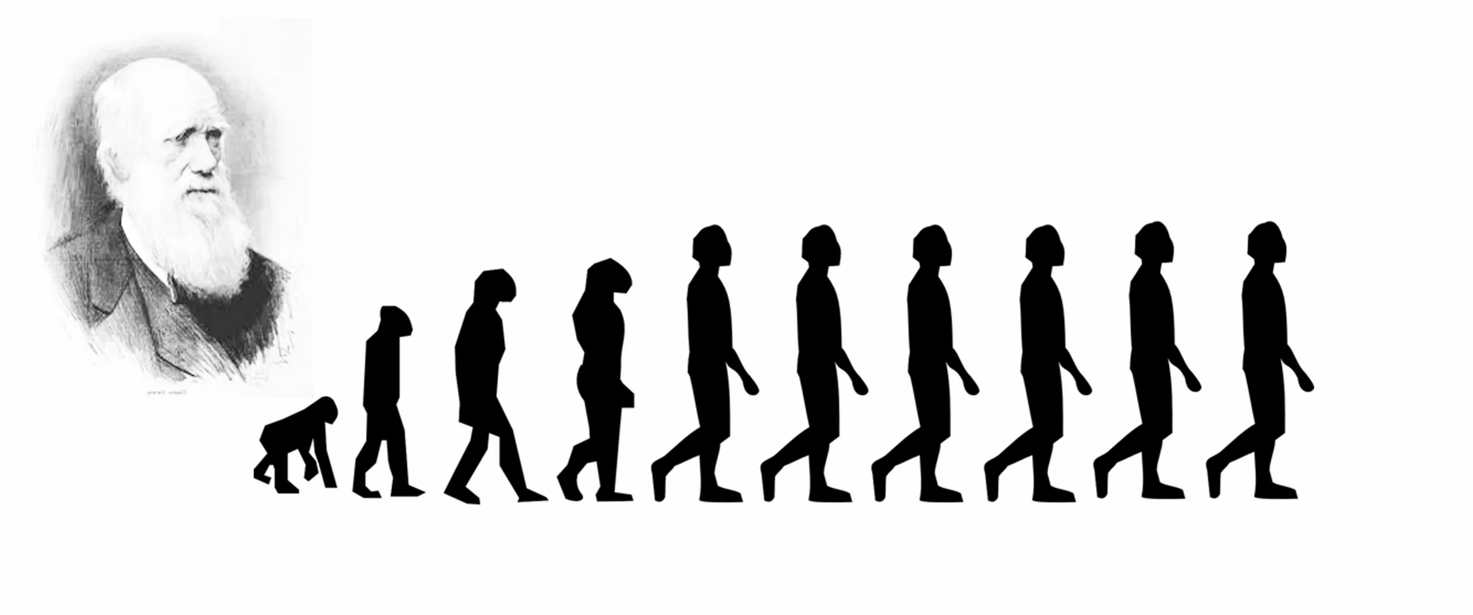 Учение Чарльза Дарвина. Эволюционная теория Чарльза Дарвина. Теория эволюции Дарвина.