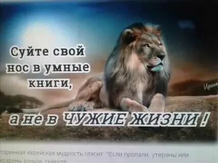 Дверь в чужую жизнь
