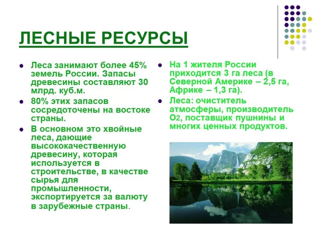 Природные особенности рф. Краткая характеристика лесных ресурсов. Характеристика лесных ресурсов России. Охарактеризуйте Лесные ресурсы России. Лесные ресурсы это кратко.