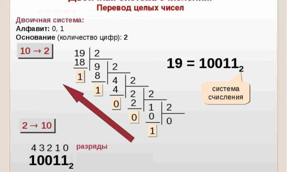 204 в десятичной системе перевести в двоичную. Двоичная система счисления в информатике. Как посчитать двоичную систему счисления. Охарактеризуйте двоичную систему счисления. Перевести в двоичную систему счисления Информатика.