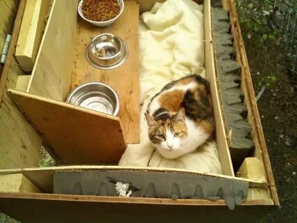 Утеплить кошка