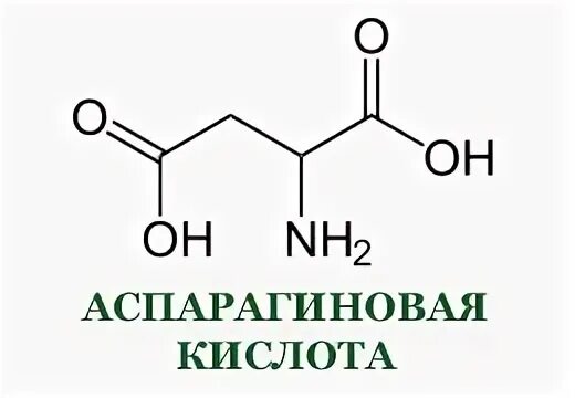 Аспарагин и аспарагиновая кислота. Аспарагиновая кислота структурная формула. Аспарагин аминокислота. Аспартат и аспарагиновая кислота.