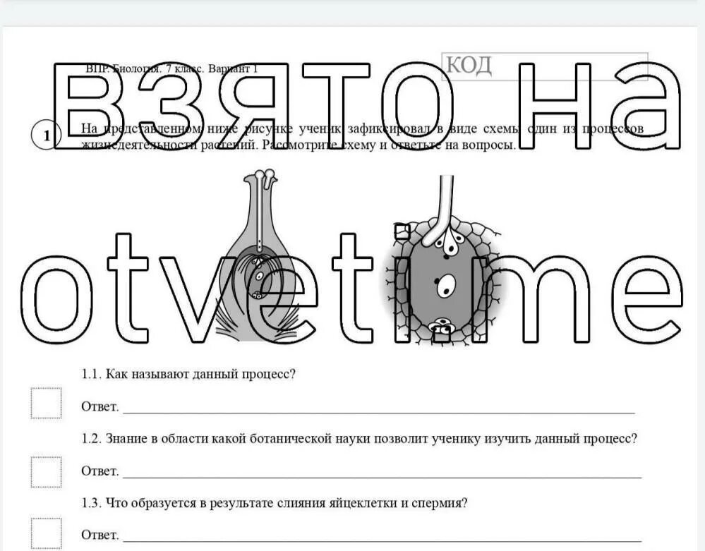 Впр по биологии номер 3.1. ВПР по биологии 6 класс тренировочные задания. Задание по ВПР 6 класс по биологии. Задания ВПР по биологии 6 класс. ВПР по биологии 6 класс 1 задание.