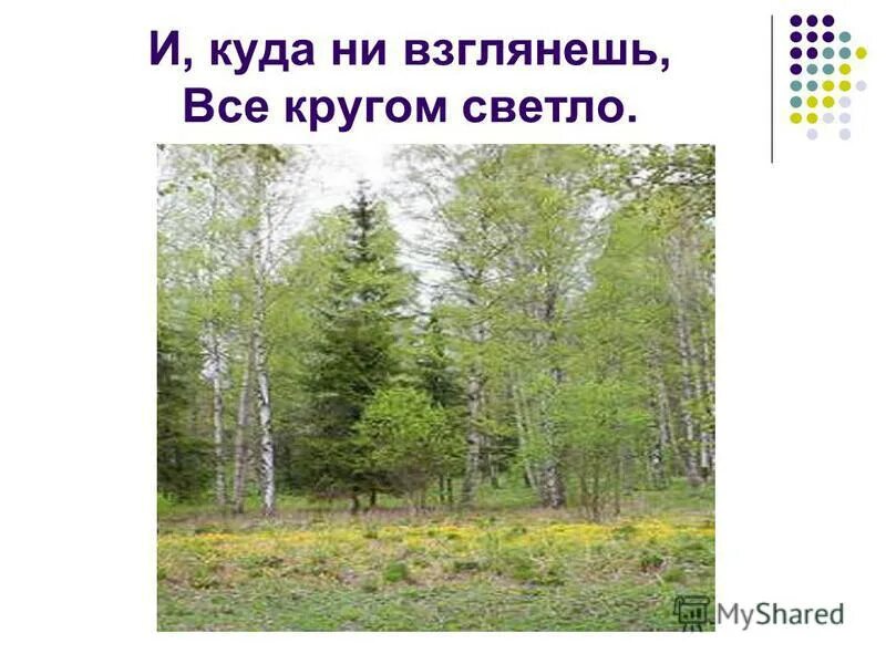 найдите предложение с пунктуационной ошибкой. мем человеки пауки я вижу его повсюду. всюду куда ни взглянешь виднелись мачты. всюду куда ни взглянешь виднелись мачты. перепишите текст раскрывая скобки вставляя где это необходимо.