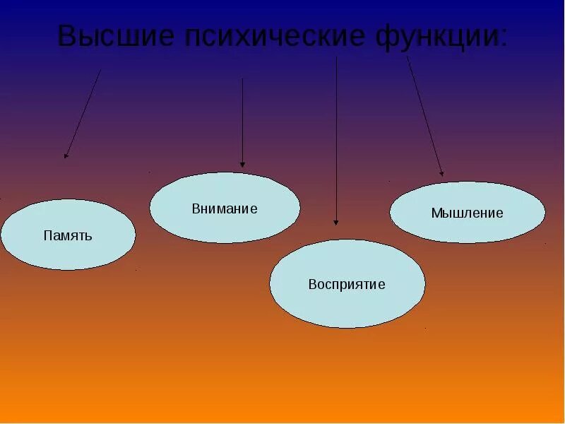 Высшие психические функции (ВПФ). Что относится к высшим психическим функциям. ВПФ человека. Функции ВПФ.