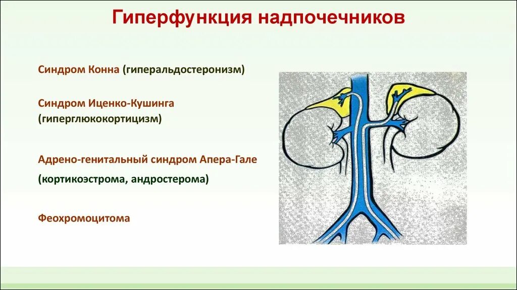 Надпочечники гормоны и функции гиперфункция. Клинические проявления гиперфункции надпочечников. Гиперфункция мозгового слоя надпочечников симптомы. Гиперфункция мозгового слоя надпочечников. Гиперфункция мозгового вещества надпочечников