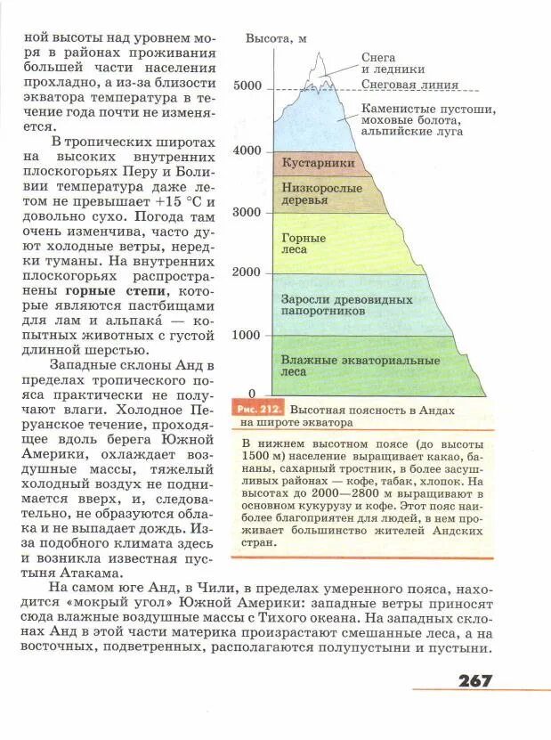 Высотная поясность в Андах таблица. Высотная поясность в Андах 7 класс. Высотная поясность в Андах Южной Америки. Высотная поясность в Андах Южной Америки 7 класс.