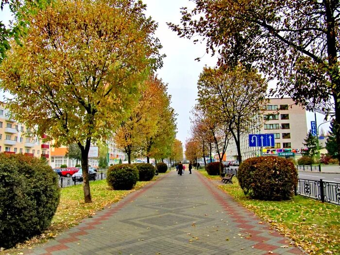 Парк отдыха брест. Городской парк брест. брест осень. брест осенью. брест парк культуры и отдыха.