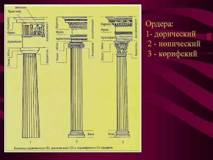Три ордера. Коринфский ордер в архитектуре древней Греции. Триглиф дорического ордера. Дорический ионический Коринфский.