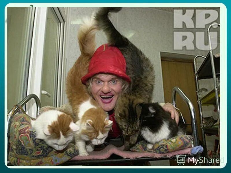 120 кошек. Цирк куклачева. Театр юрия куклачева. Куклачев саранск. Куклачев саранск.