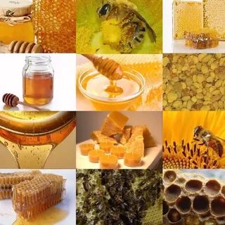 Какие продукты пчеловодства