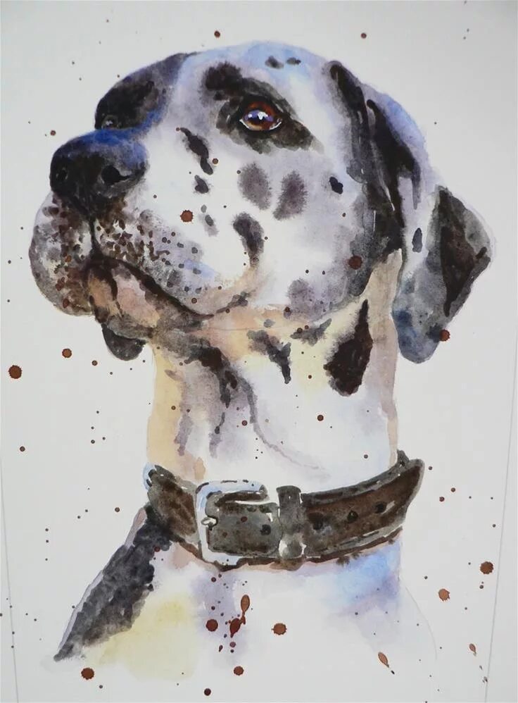 Painted dogs. Далматинец акварелью. Акварельный портрет собаки. Акварель дог. Дог портрет акварелью.
