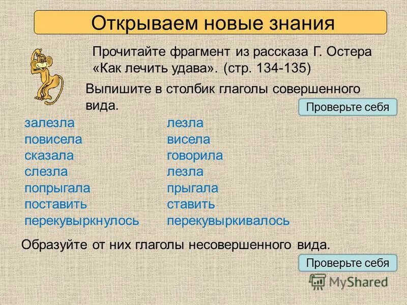 Прочитайте в чем различие каждой пары глаголов. Видовые правы глаголов. Видовые пары глаголов. Способы образования видовых пар глаголов 5 класс. Презентация видовые пары глагола 6 класс.