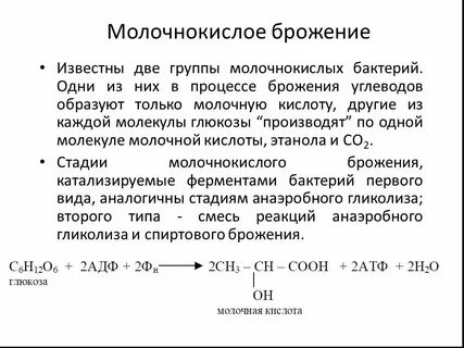 Конечными продуктами брожения являются