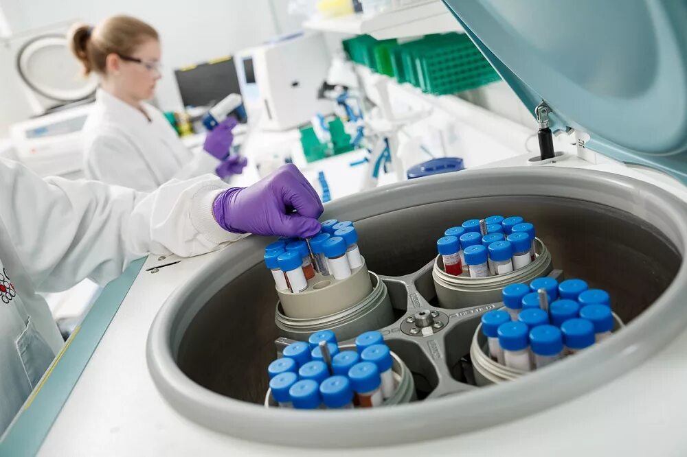 T laboratory