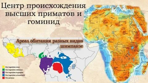 Ровные границы