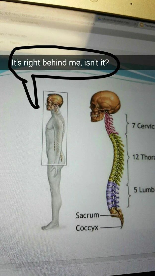 I isn t