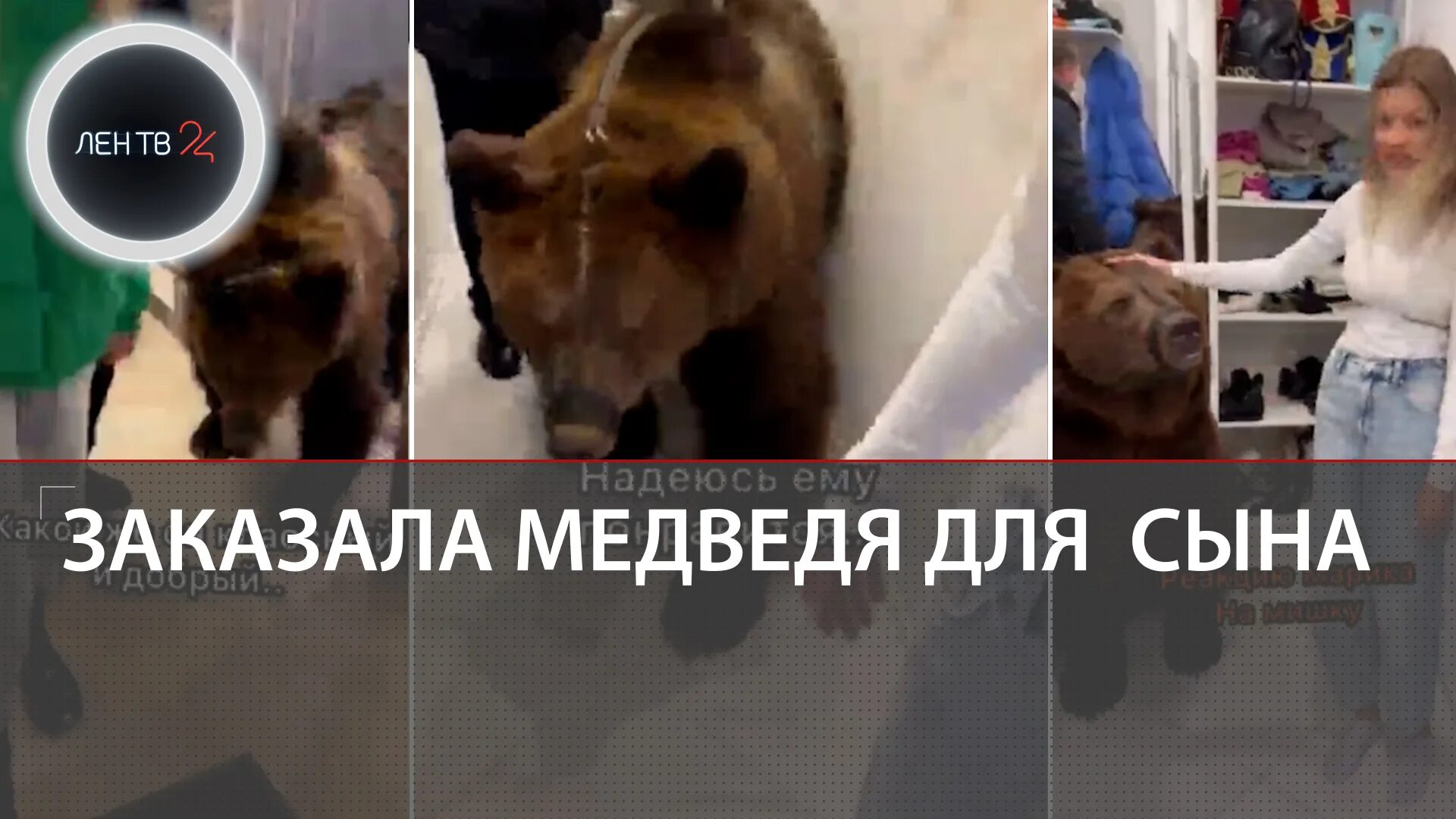 Хит блогеров медведи. Девушка с медведем на поводке. Медведь в семье пантелеенко. Балу блоггер. Блогерша привела домой медведя.