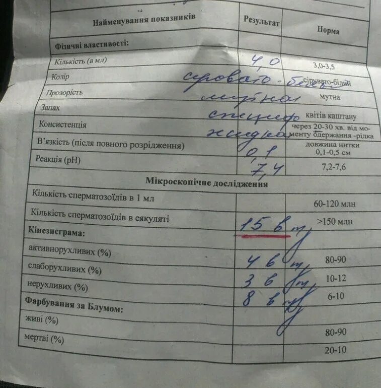 Подготовка к спермограмме. Подготовка к спермограмме