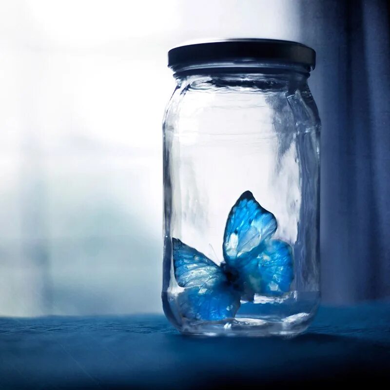 Стеклянный синий цветок. Баночка с бабочками. Красивые стеклянные банки. Красивая банка. Бабочка в банке Эстетика.
