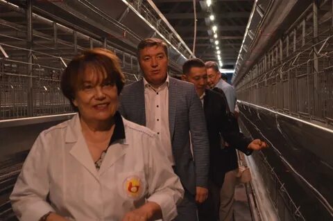 Птицефабрика иваново