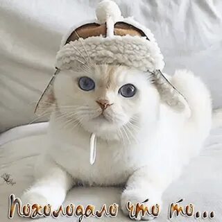 Утра похолодало