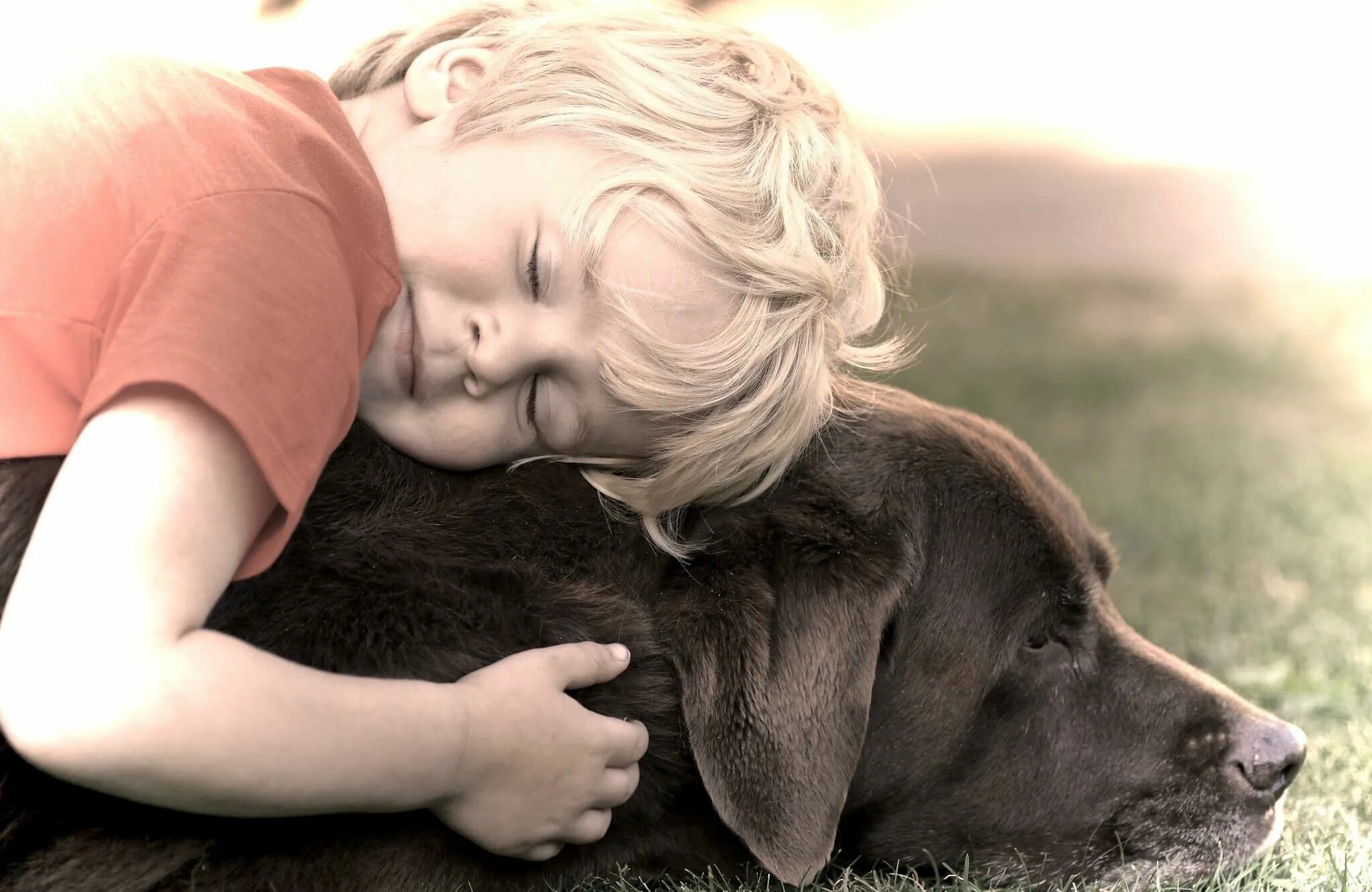 Любовь близких людей. Цитаты о человеке которого бросили. Цитаты про подруг которые кинули. Самый близкий друг человека. Дружба людей и животных.