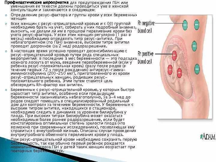 Кровь 1 отрицательная беременность. Титр резус антител. Титр антител резус конфликт. Титр антител при резус конфликте у беременных. Титр антител к резус фактору.