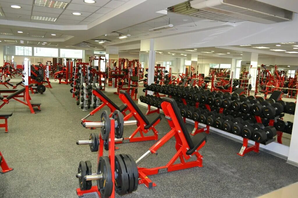 Фитнес клуб красноярск. Strongo Hammer strength. Фитнес центр Стронго Красноярск. Стронго Хаммер Красноярск Ады Лебедевой. Тренажерный зал Хаммер Тирасполь.