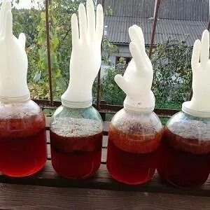 Как сделать домашнее вино из забродившего варенья