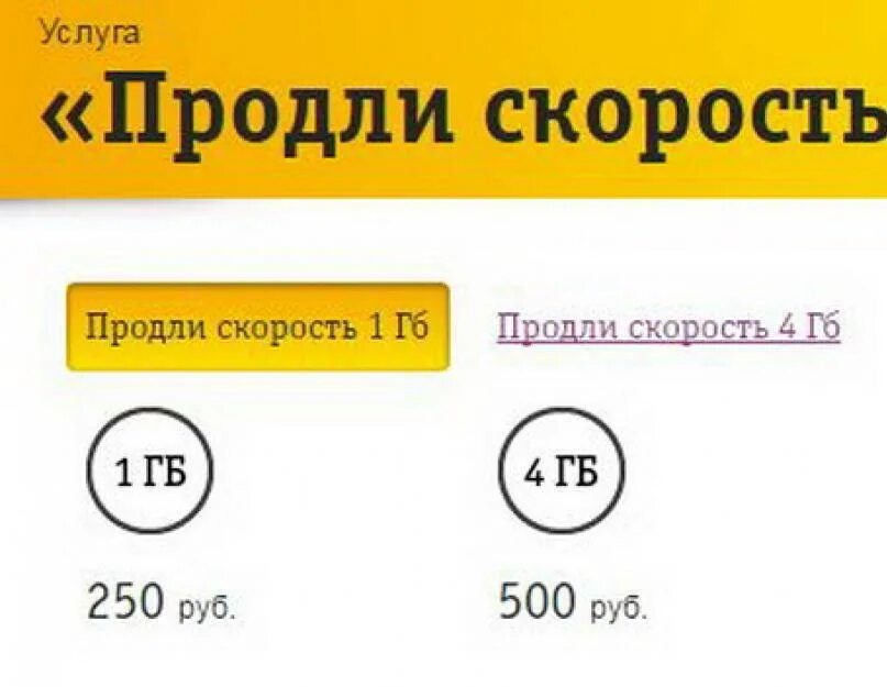 15 гб интернета билайн. Билайн дополнительный интернет. Билайн доп пакет интернета. Продлить скорость интернета Билайн. Дополнительные гигабайты Билайн.