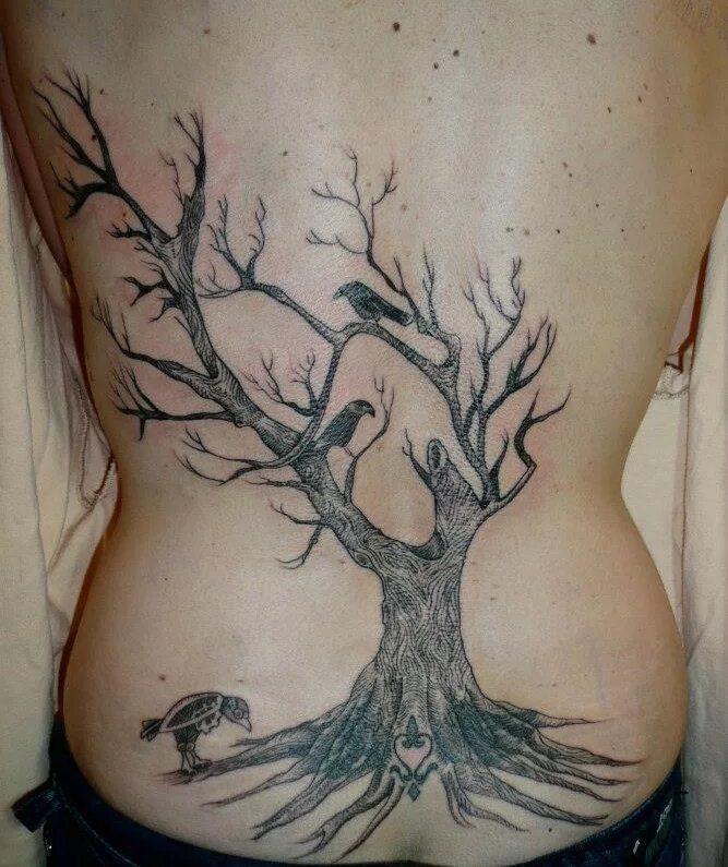 Татуировка хардина дерево. Татуха дерево. Тату дерево на животе. Poison tree tattoo. Кельтика дерево.