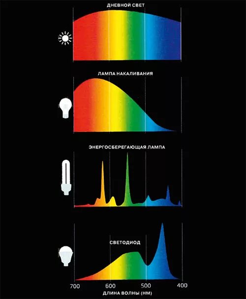 Включи дневной свет максимум. Спектр излучения галогенной лампы. Спектр излучения лампочки накаливания. Спектр излучения люминесцентной лампы. Спектр лампы накаливания 100 ватт.