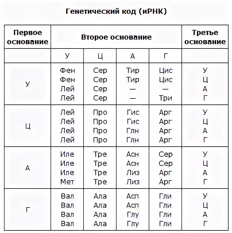Белковый код. Таблица генетического кода и-РНК. Таблица РНК аминокислот. Генетический код таблица биология 10 класс. Таблица генетического кода ИРНК.