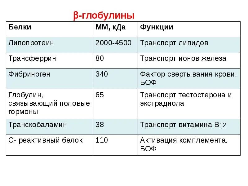 Глобулин это. Глобулины биохимия. Бета глобулины биохимия. Биохимия крови глобулины. Функции глобулинов в крови.