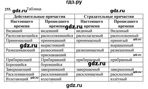 Русский язык 7 класс номер 366