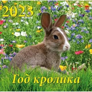 День кролика 2024