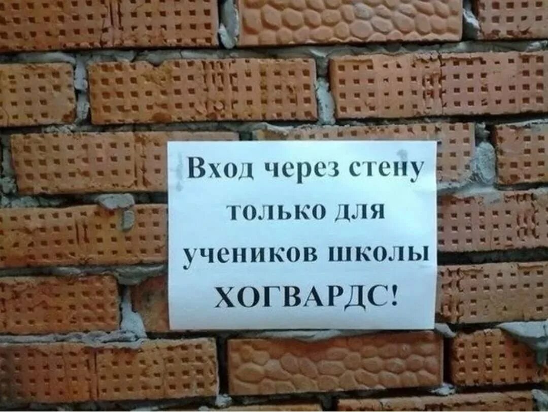 Смешные картинки с надписями. Кирпич прикол. Приколы с подписями. Смешные картинки с подписями. Демотиватор кирпич.