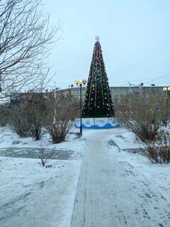 Елки в ленинском районе